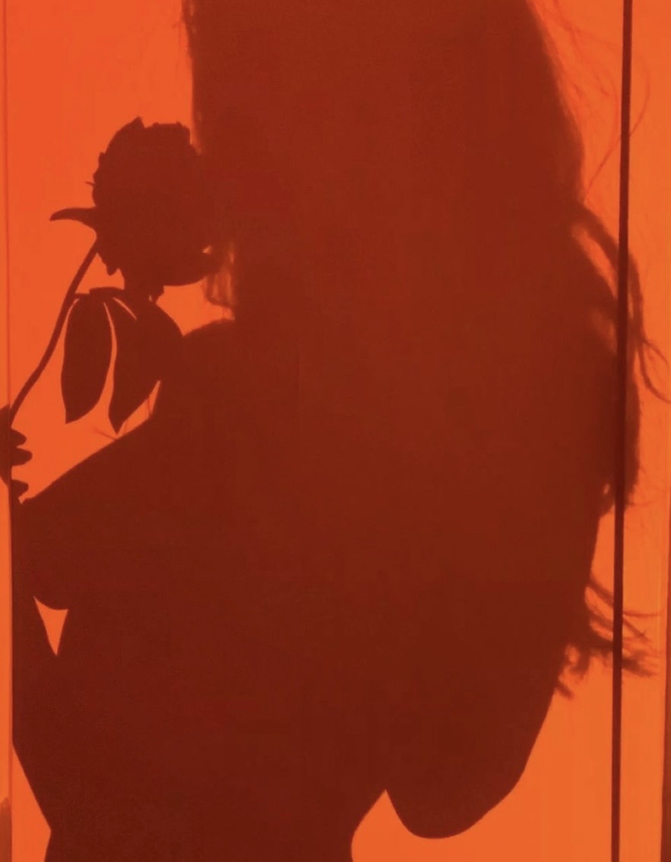 Silhouette féminine avec une rose, univers de la consultation Corps à NÛ