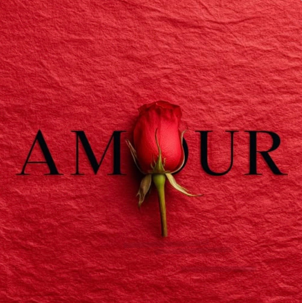 Rose rouge sur fond rouge avec le mot amour